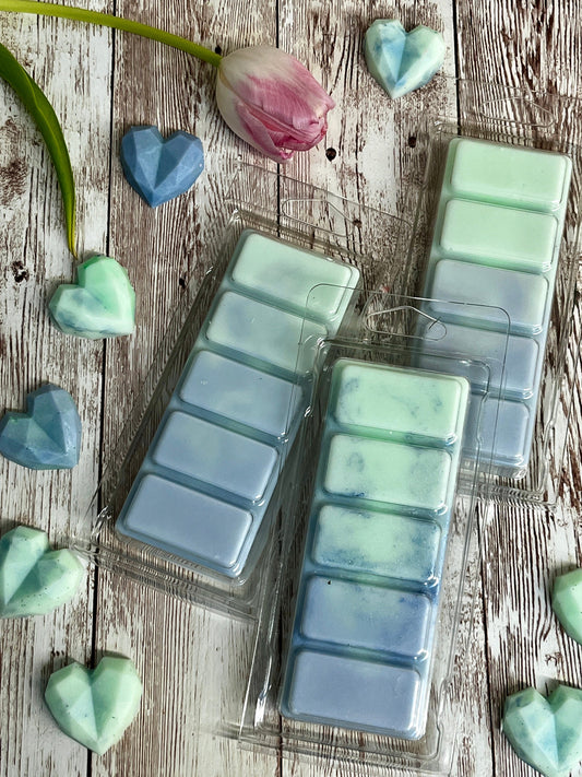 Eukalyptus und Minze • Duftwachs • Wax Melts • Snapbar • Probe • Muttertag